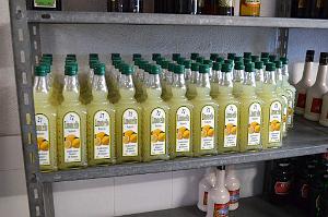 Distillerie  Monforte del Cid- 030